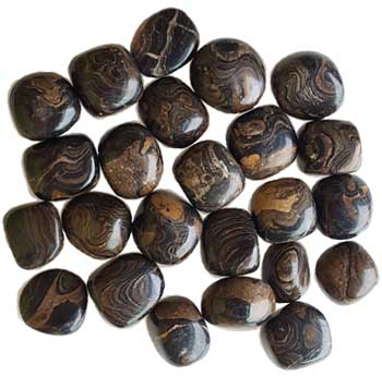 1 lb Stromatolite (onyx Brown) tumbled stones