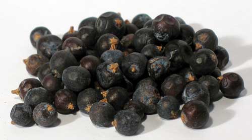 1 Lb Juniper Berries whole - Click Image to Close