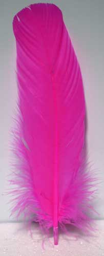 Pink feather