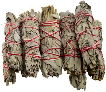 White Sage smudge 12pk 3 1/2" - Click Image to Close